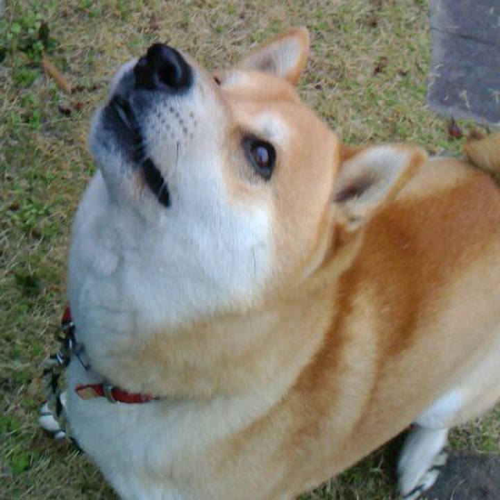 B919d1ee 65ce 4c06 a433 c19b8e02ea5a