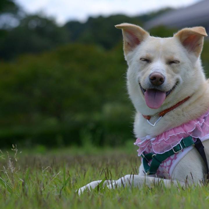 B91a3bbf bff0 42f6 9320 9010f8189695