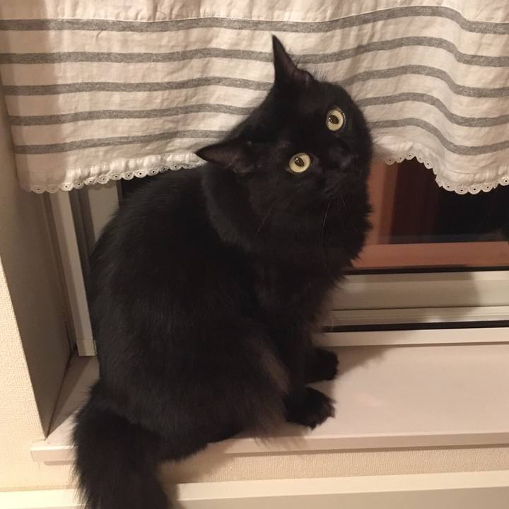 B91bb38e 5866 496c a4ae 738d493353b6