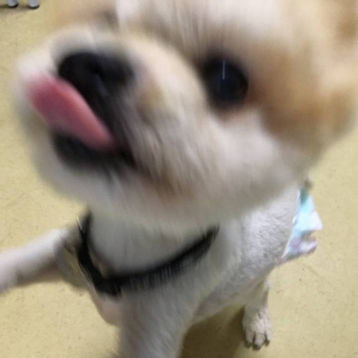 B91bf50a d8e2 49c8 a628 bd0f19036093