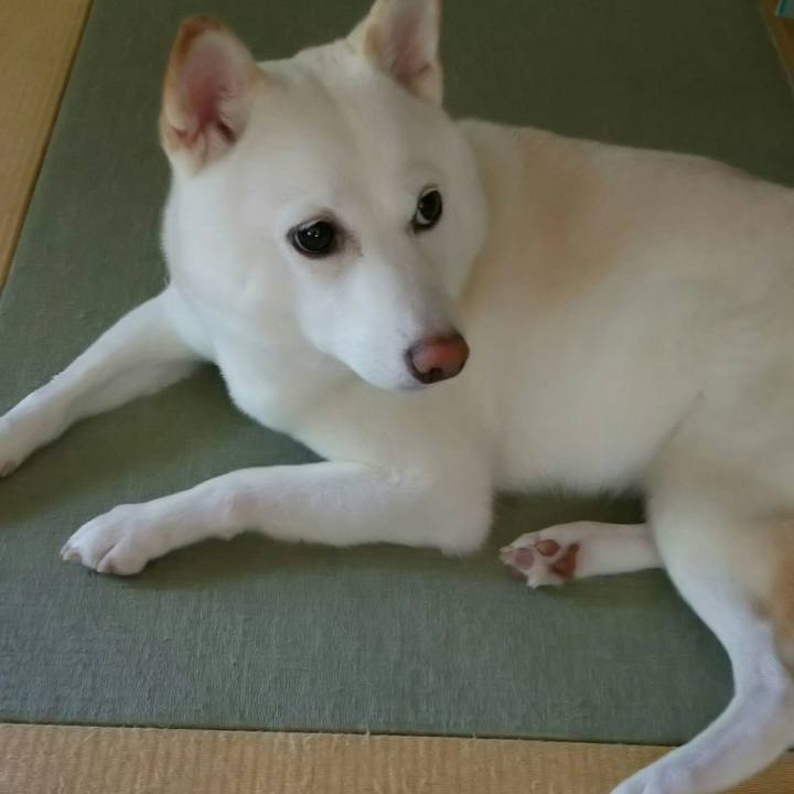 B91c23cb 2cec 4185 af7b a27c7b6abe62