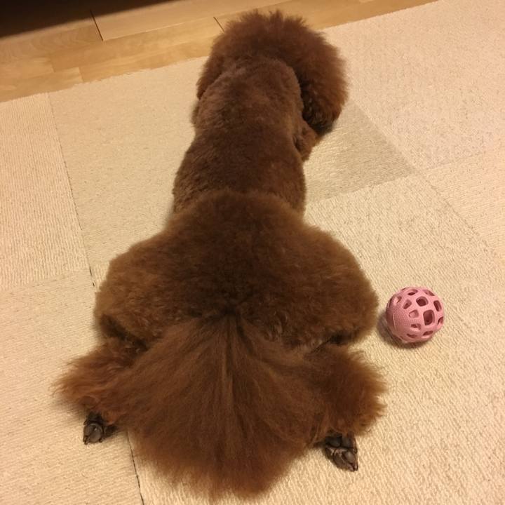 B91c65ea 3710 4e7c 97e4 710e8b13d16e