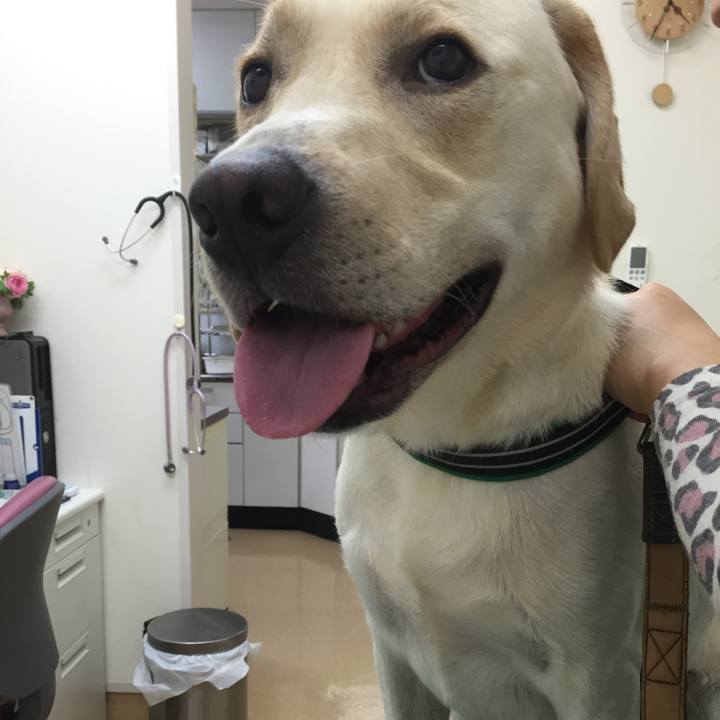 B91cad01 2a16 41cf a04a a7bd3d2560a9