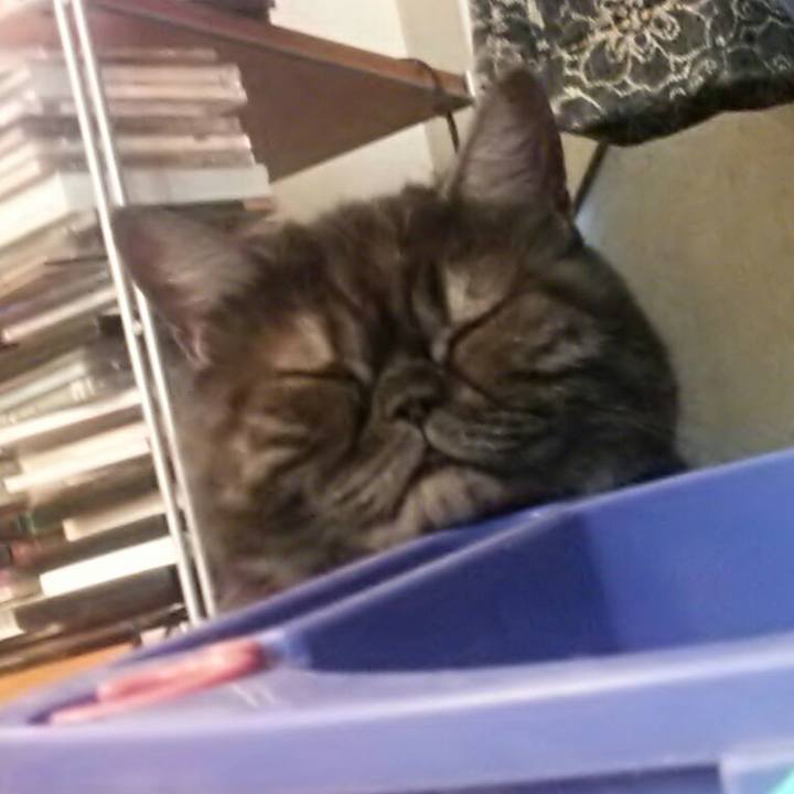 B91dadff a179 4880 84c8 8fad6b2a9237