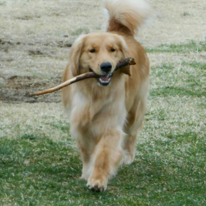 B91dc36c eb29 425a b1db 375f7890c4cc