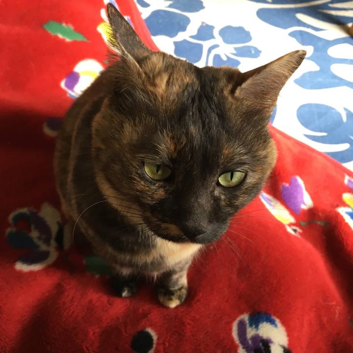 B91f4078 2521 4ed0 b46b ff9c760d8632