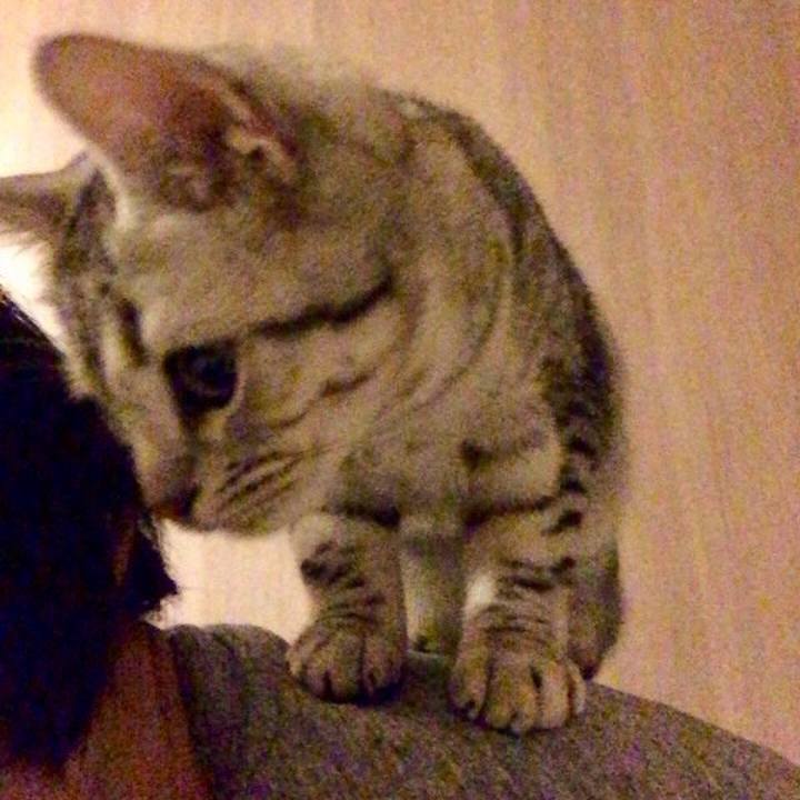 B91f652d 1db3 4de3 96dd dd9e05873836