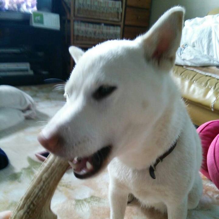 B91f66ce dcaa 463e bf90 02237ccbb83b