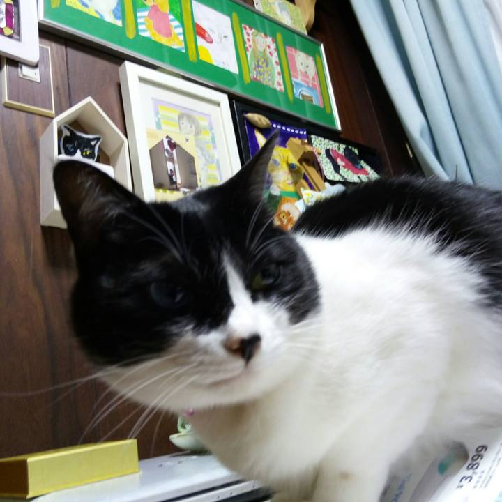 B9201693 7c5c 4268 83c0 14e77ca0421a