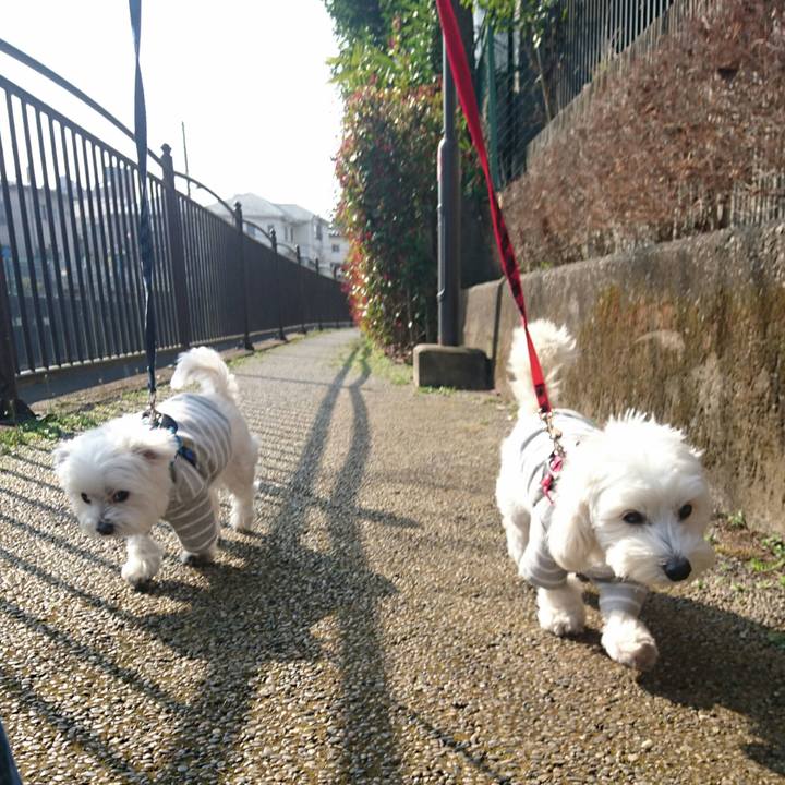 B920c504 a00f 4b3f 996d e1e51c250615