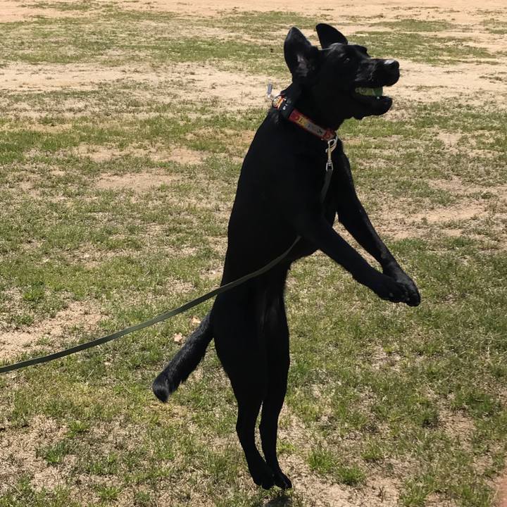 B920d3aa 14a0 470c 946f 6d119a96898e