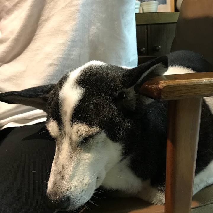 B920e4b2 c550 4ab5 b42b 33977e5e18a3