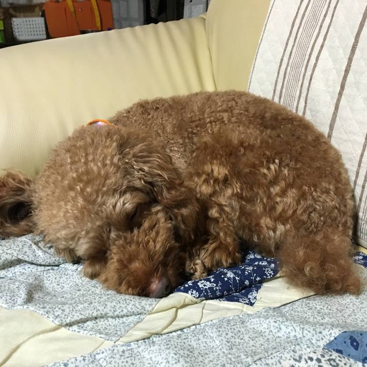 B92129f0 8fba 4c0e b3bf bd7777891126