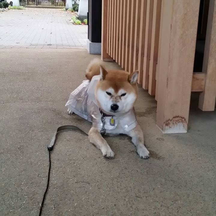 B921e9d6 7eb4 4275 8450 ad79b1bc3622