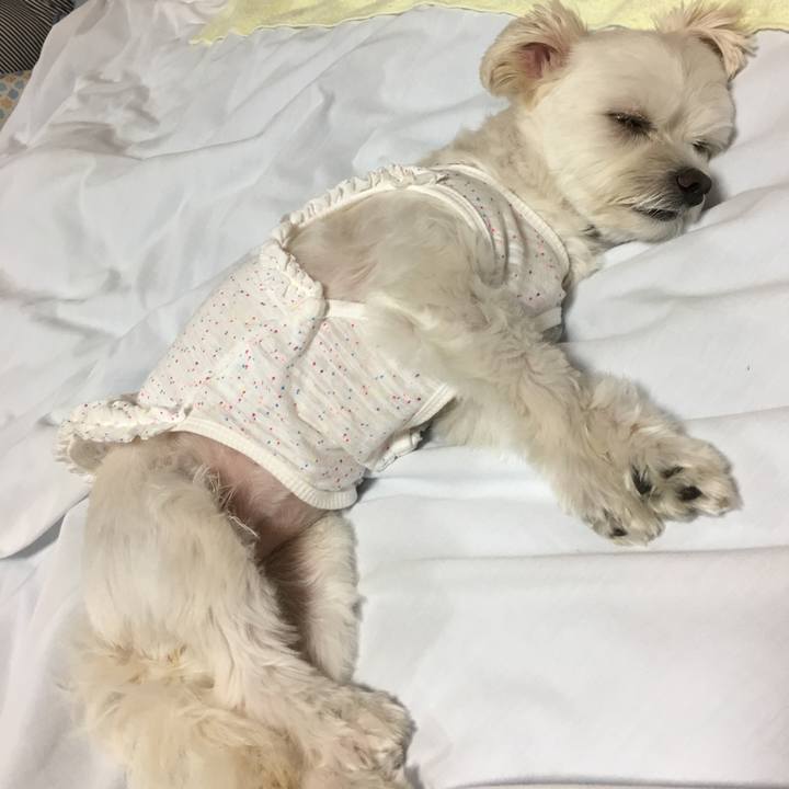 B92386ce cee1 448b 9062 a652cac8a5b8