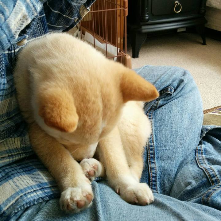 B923dc55 1ca6 47ba 9c7b 6d625341c07c