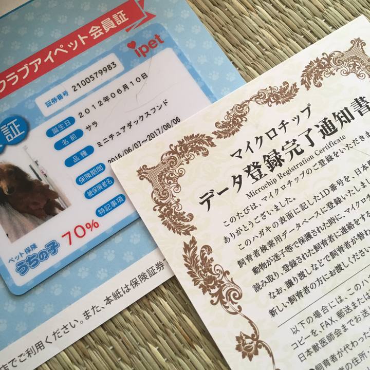 B924e2ea ce4b 4081 b485 8857264d9626