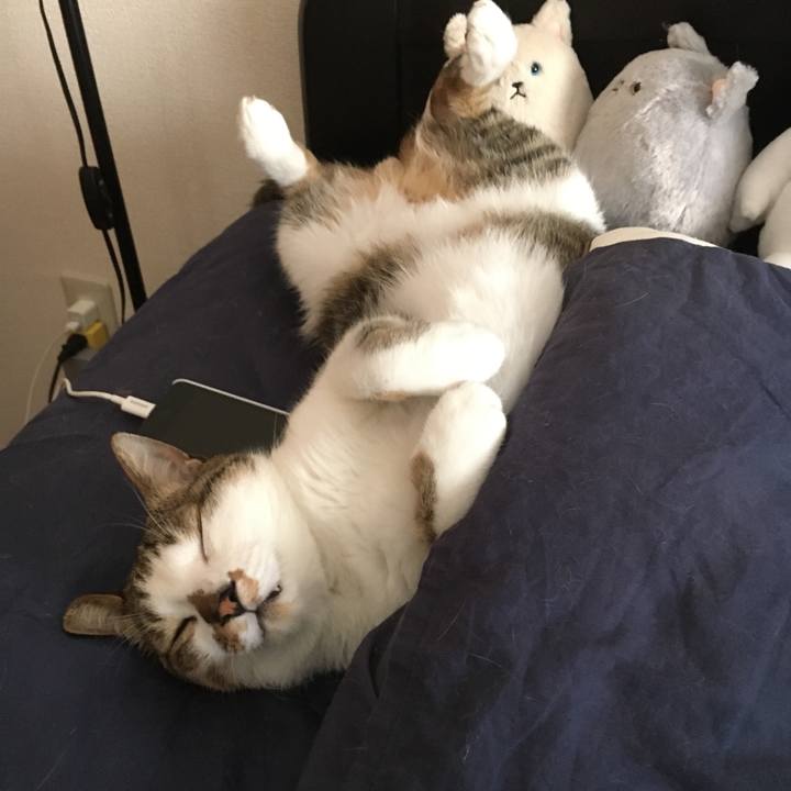 B9251bec 49da 44bf 8e26 6341289a5674