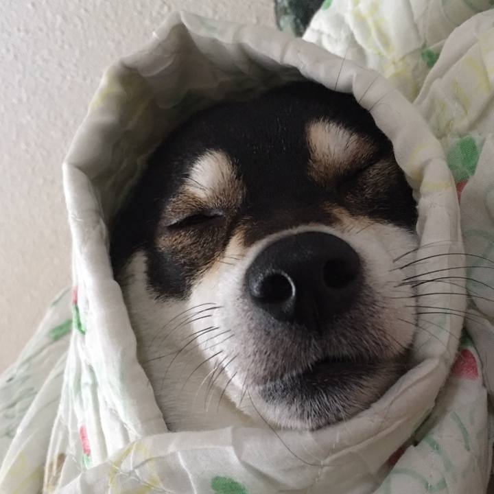 B925c02c 29ca 4a7f b1e9 839539e54d49