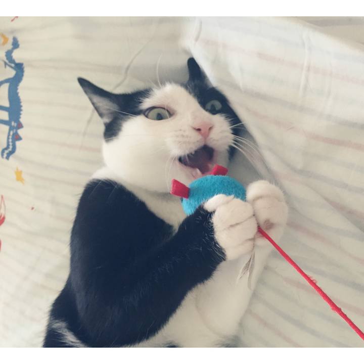 B92664c6 aef8 47b8 bdfa 2ce012595556