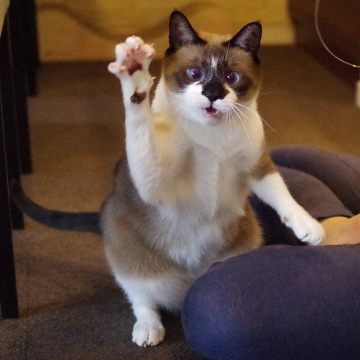 B9273b25 dfb4 4213 85c8 22654a8a7144