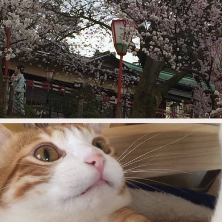 B9276cd8 d3c9 4ac7 912d f31b39275625