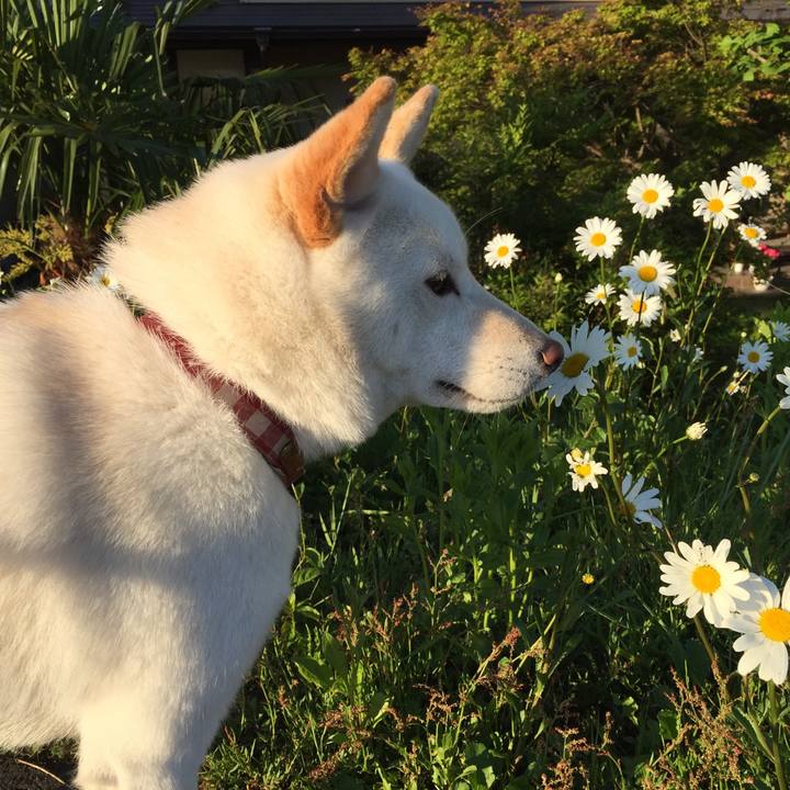 B927fa1a 9998 4431 b752 1de7dcd974ef