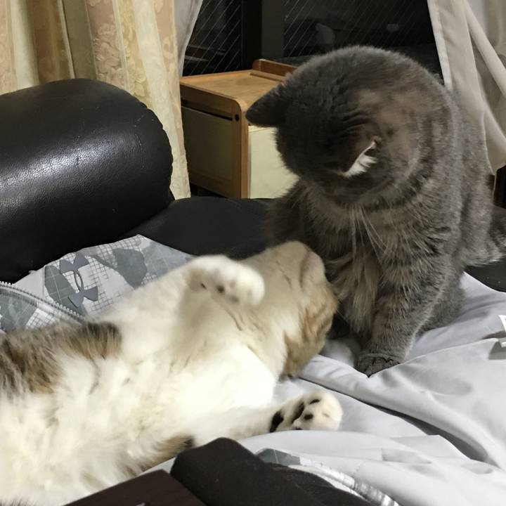 B928c4aa 1dee 4b77 9567 125967d03dee