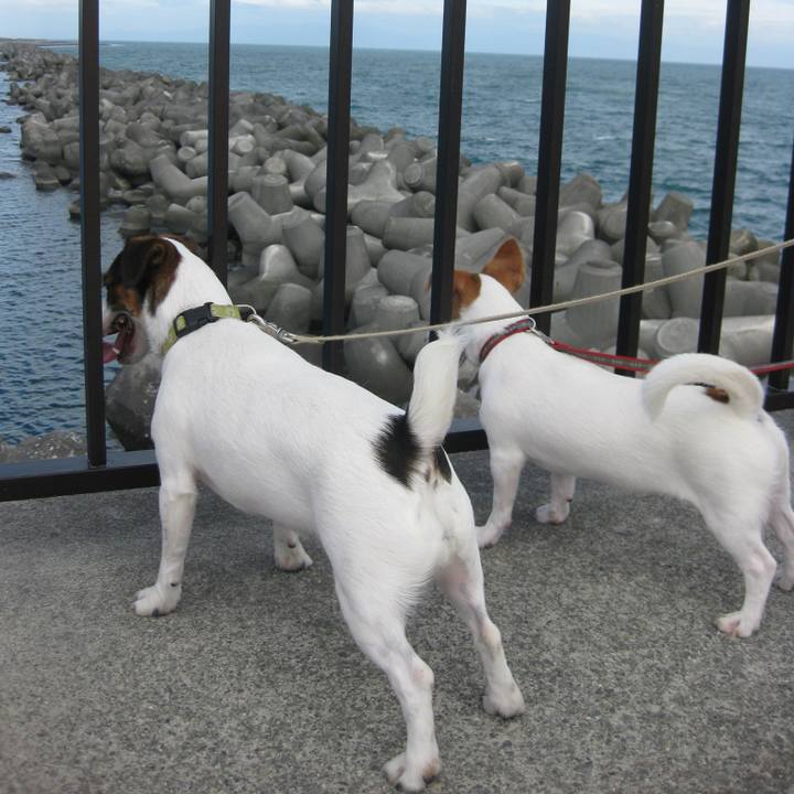 B928fc14 a12f 4000 b10b ac787794c997