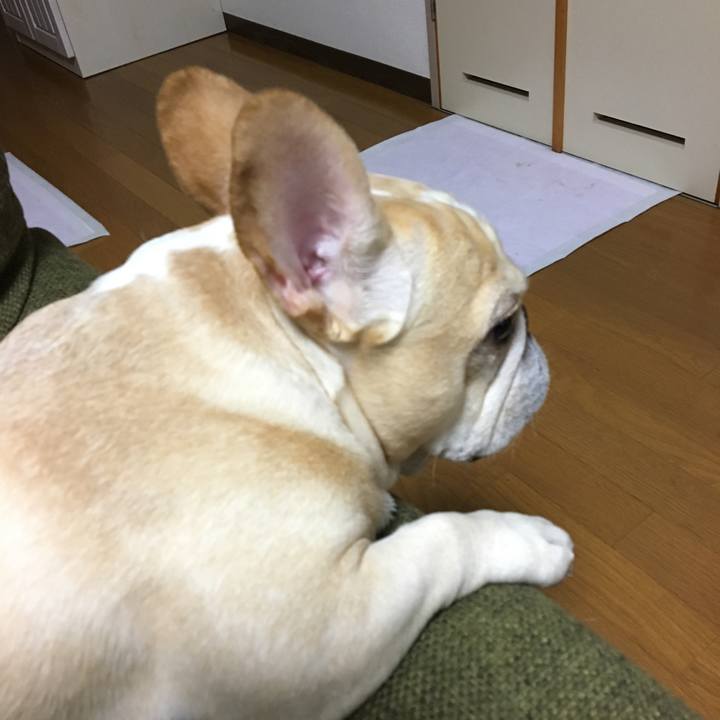 B929c174 383d 48ba 85df 7bd35122b6bf