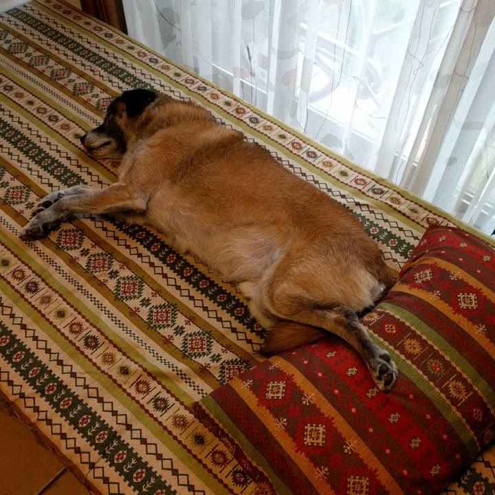 B92a76a8 21d8 4df5 869a 1fc6a35af672