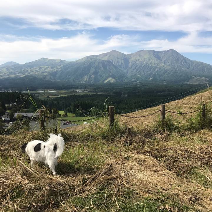 B92b4171 f243 4cfc 9429 372ccf28c62c