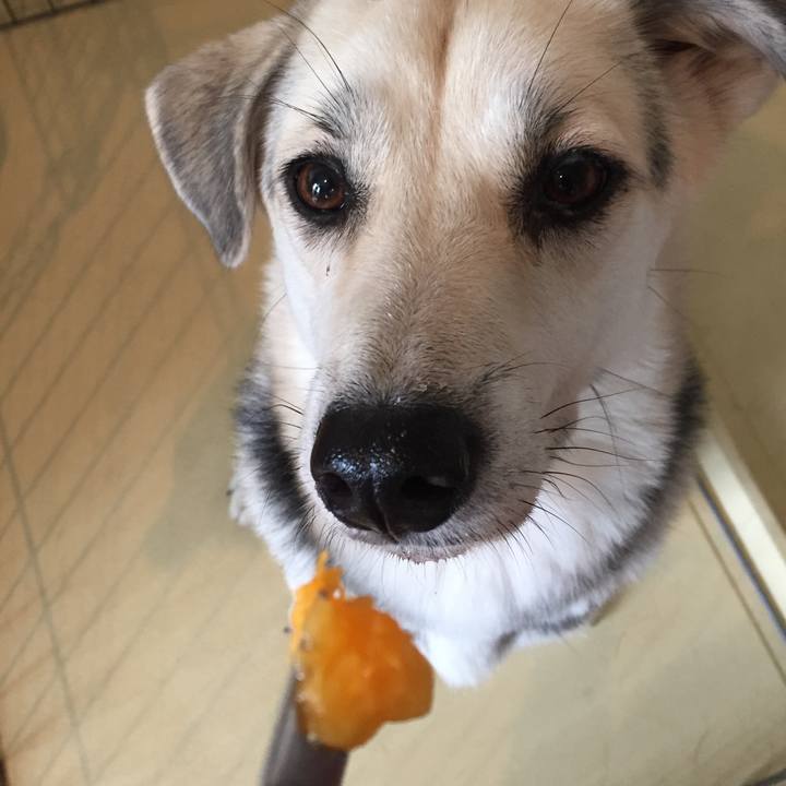 B92b754d 2b33 4042 9e3f 9293080007f8