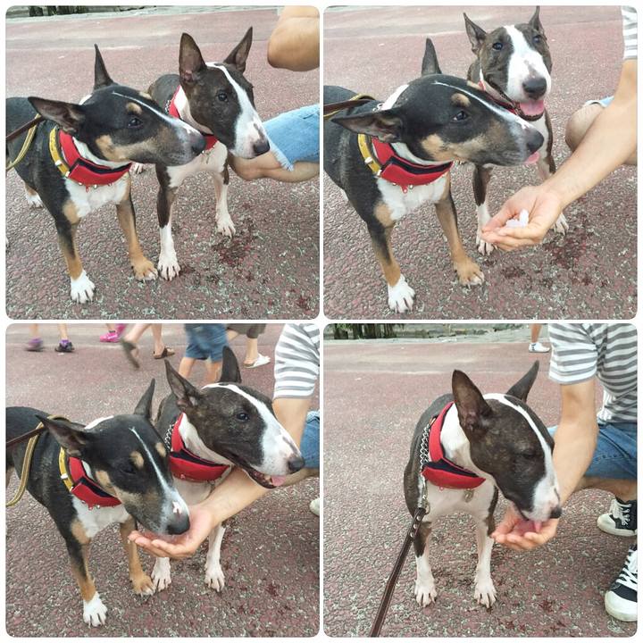 B92b9640 8ebd 4fd9 9a3c 57de4dc9cd3f