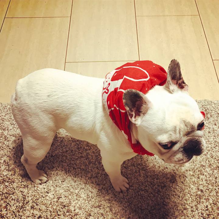 B92cb922 f20e 485b ae06 024ef29efc73