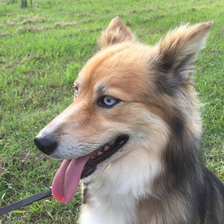 B92e209c 66c3 471a 84de efb637df73a0