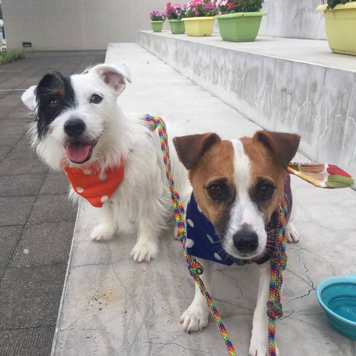 B92ed23b 1951 465b 91d3 95ad5dc21786