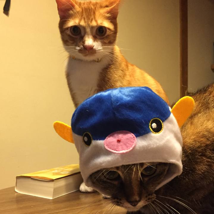 B92f7e31 64ec 4a8b aee0 58ad2d86d278