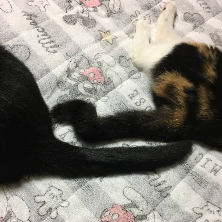 B92f99e3 a2bf 459c 9ba3 355484918182