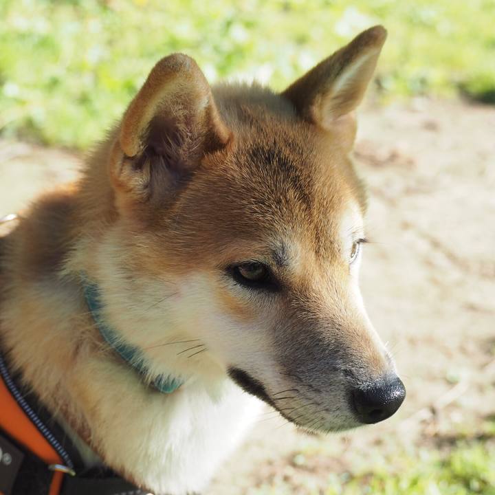 B92fc5e9 2d2a 44e7 abd0 664a55b45732