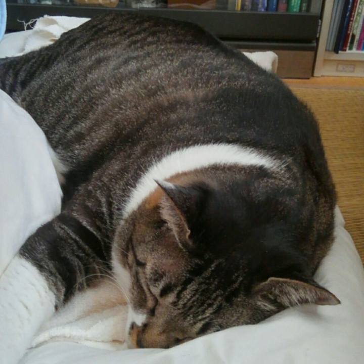 B9302732 698d 4a35 b3db 909e97e52e40