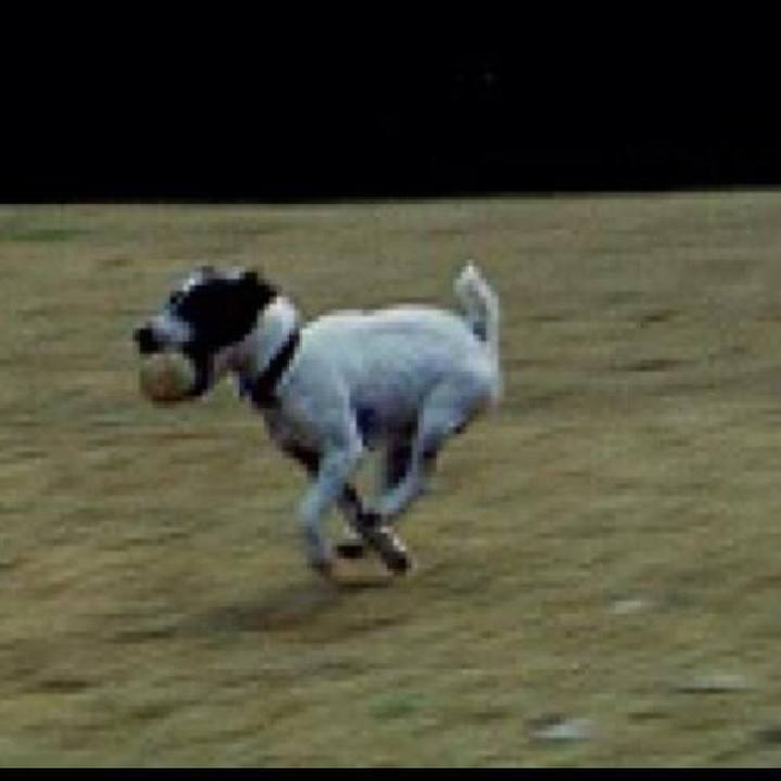 B93155e8 7fe7 4ea5 9c02 885150d925ae