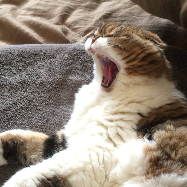 B9324c38 0a0e 4834 bb60 ec44561a45fd