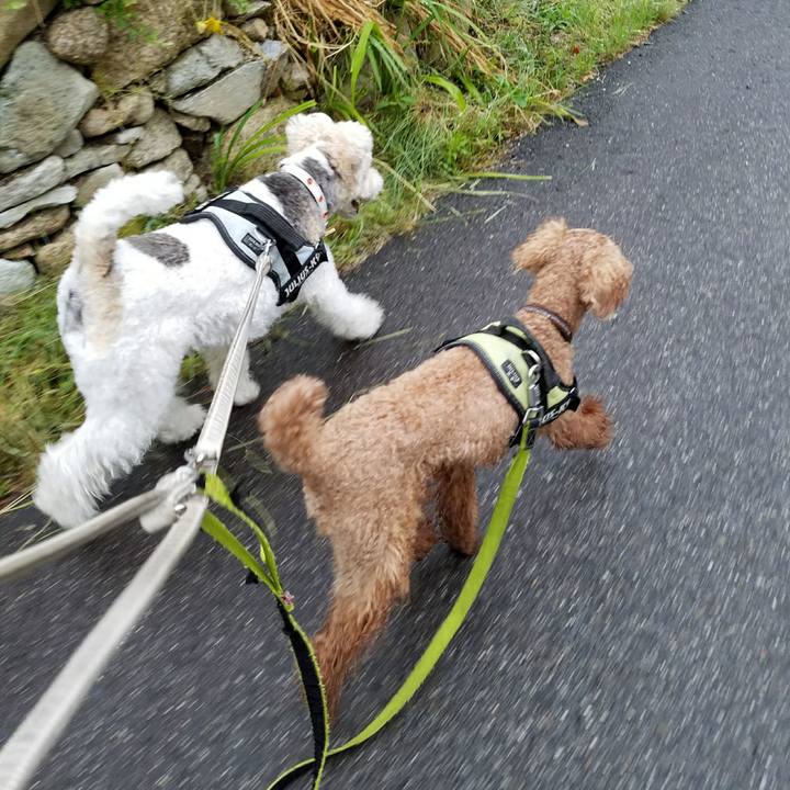 B932e299 6d4a 4d83 9941 c69f5f681f82