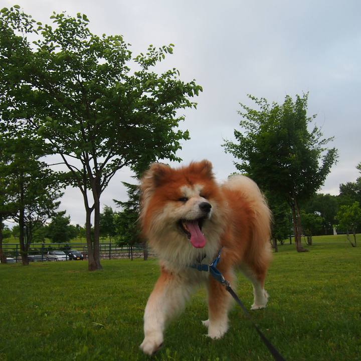 B9333f51 450e 47b2 bd62 08cbc1454c2e