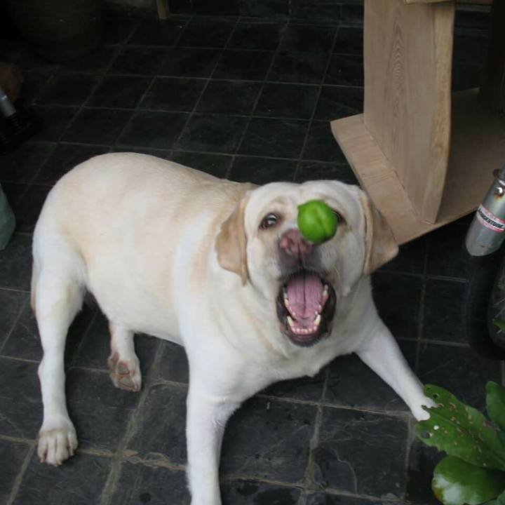 B9335513 ab50 4552 9bd2 a3503253c169