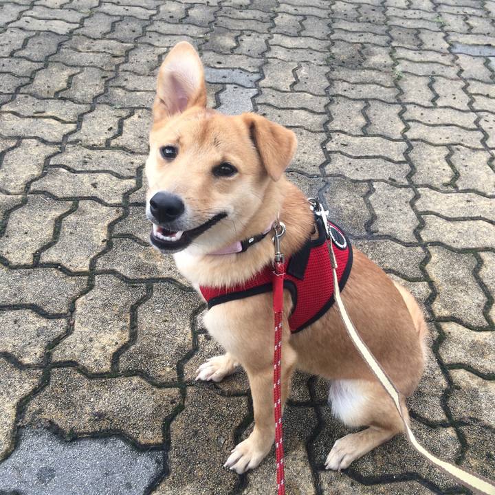 B9338ac7 304f 4537 940e 78456698a09c