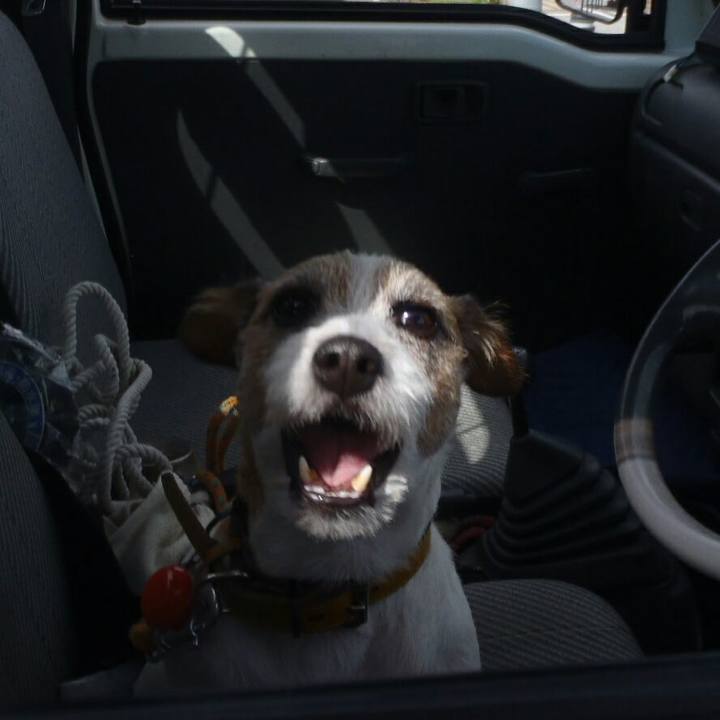 B93425d0 c9e3 43c6 b0fb 8faad8315c51