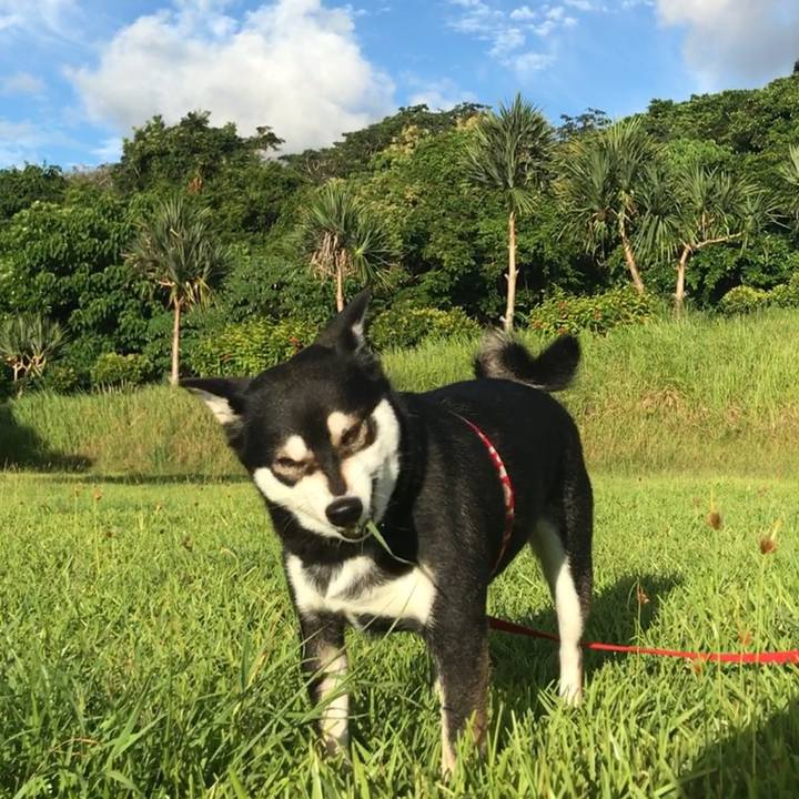 B934a8de 2c0e 4d5b 8034 64c814cfaa33