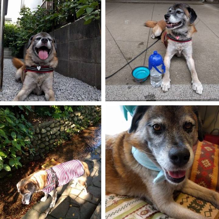 B934eea9 73e6 4b4d a167 f6949b1ab416